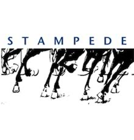 Stampede: Synthesized Tools for Archiving, Monitoring Performance and Enhanced DEbugging