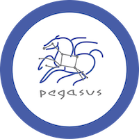 Pegasus Workflow Management System